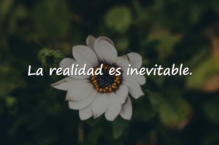 Imágenes frases de la vida real - 11