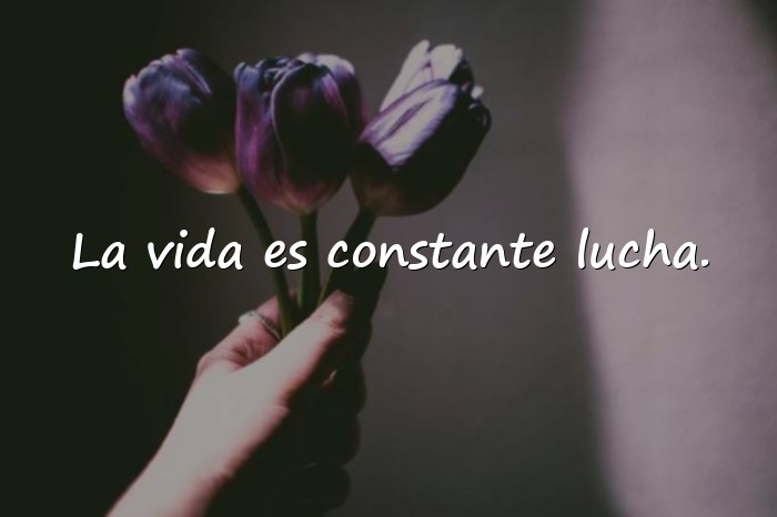 Imágenes frases de la vida real - 6