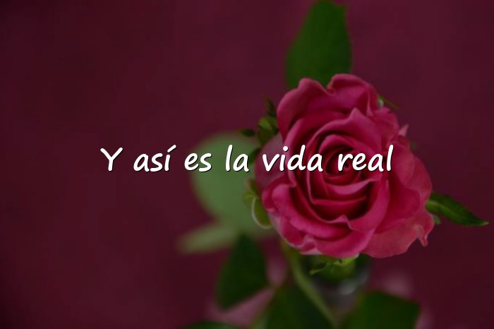Imágenes frases de la vida real - 1