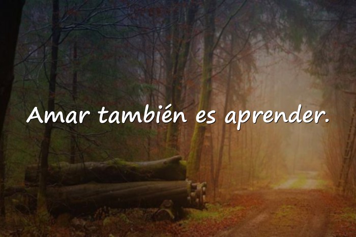 Imágenes frases de la vida y el amor - 16