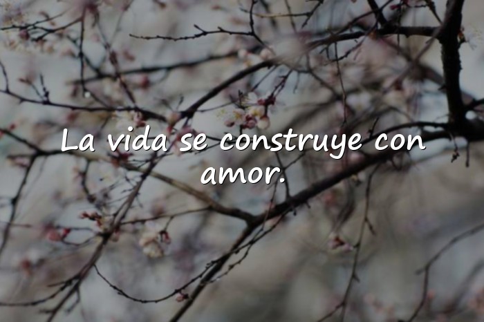 Imágenes frases de la vida y el amor - 11