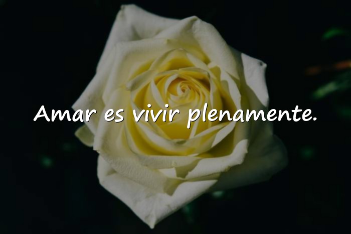 Imágenes frases de la vida y el amor - 6