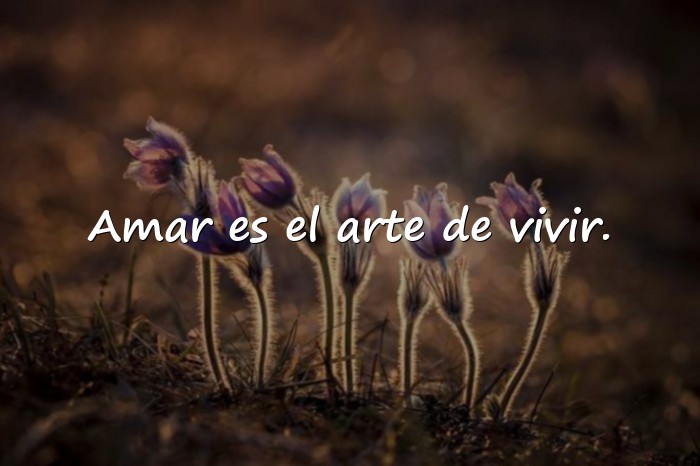 Imágenes frases de la vida y el amor - 21