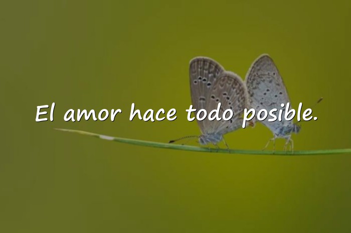 Imágenes frases de la vida y el amor - 16
