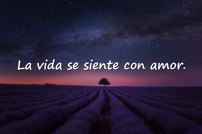 Imágenes frases de la vida y el amor - 6
