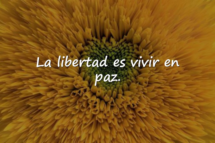 Imágenes frases de libertad - 11