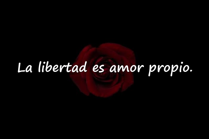 Imágenes frases de libertad - 6