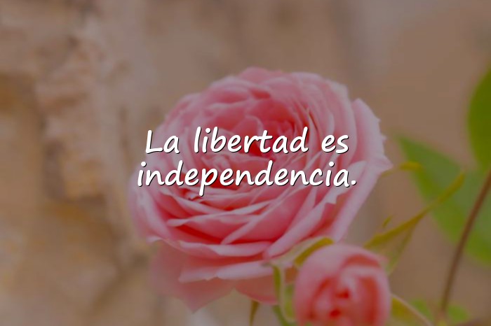 Imágenes frases de libertad - 1