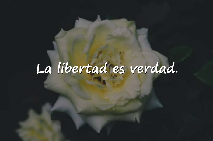 Imágenes frases de libertad - 21