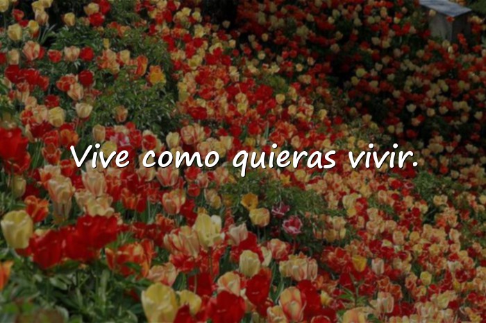 Imágenes frases de libertad - 16