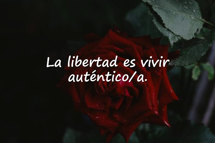 Imágenes frases de libertad - 11