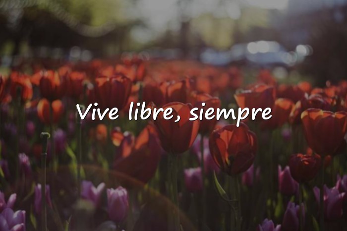 Imágenes frases de libertad - 1