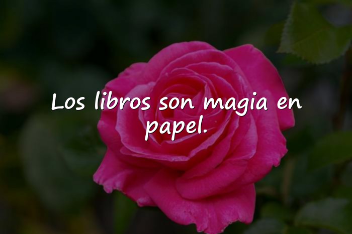 Imágenes frases de libros - 16