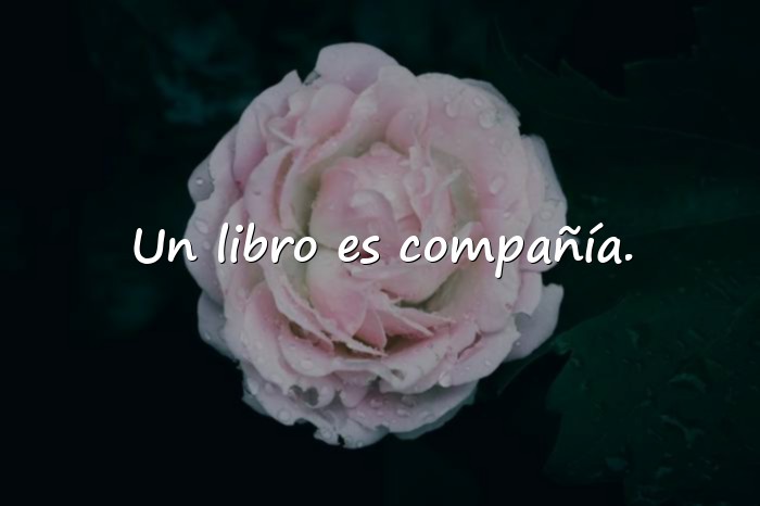 Imágenes frases de libros - 21