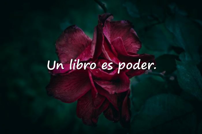 Imágenes frases de libros - 6