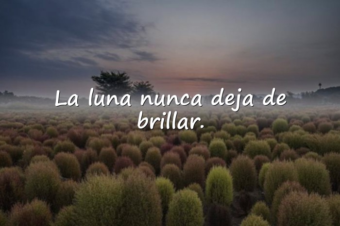 Imágenes frases de luna - 19