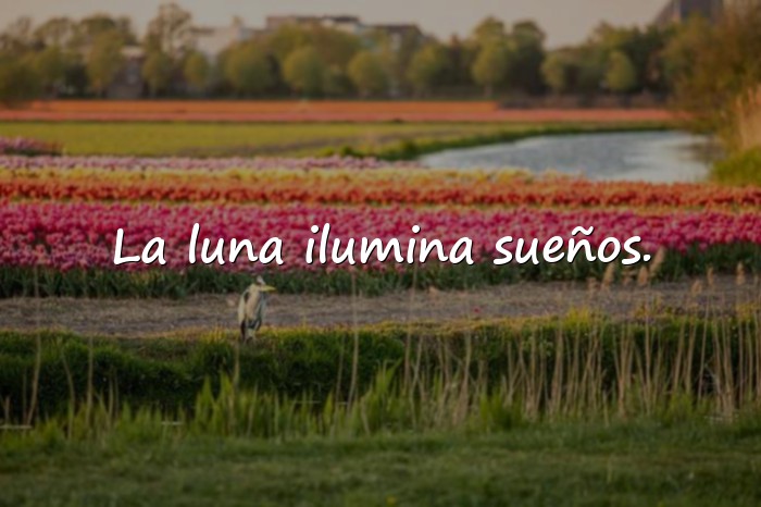 Imágenes frases de luna - 15