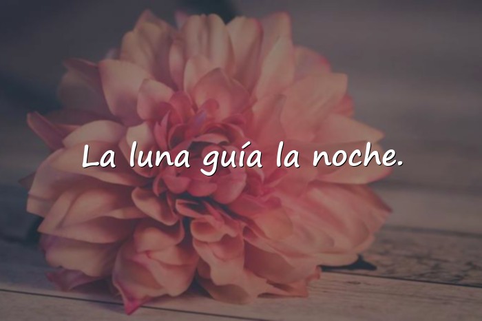 Imágenes frases de luna - 6