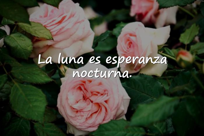 Imágenes frases de luna - 1