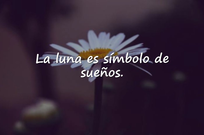 Imágenes frases de luna - 21