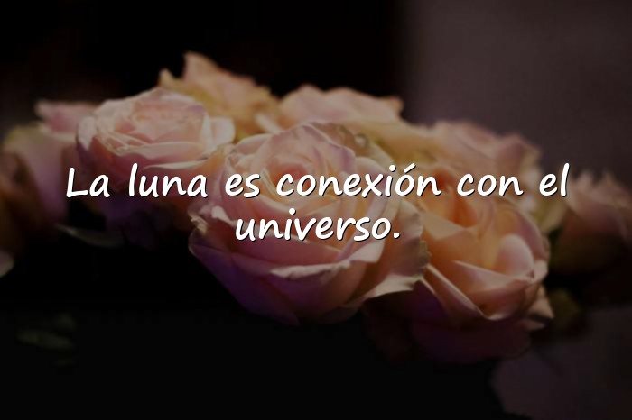 Imágenes frases de luna - 11