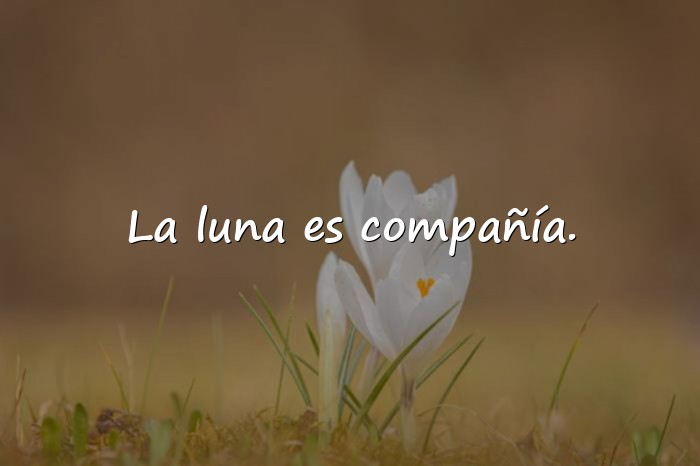 Imágenes frases de luna - 6