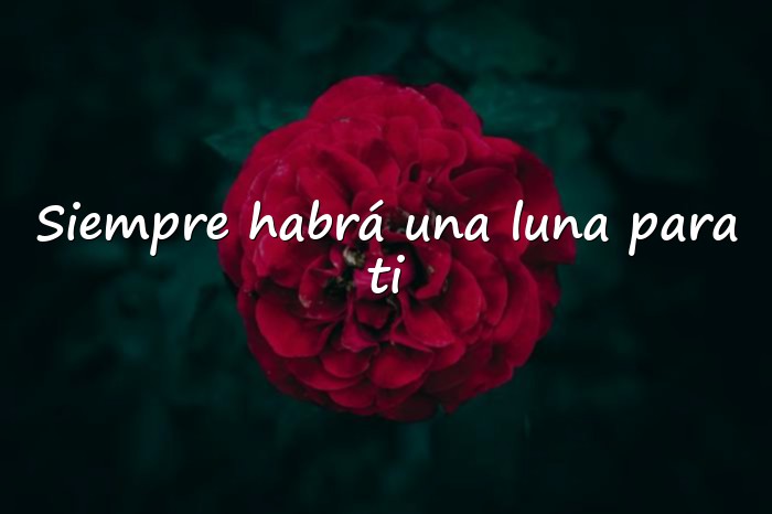 Imágenes frases de luna - 1