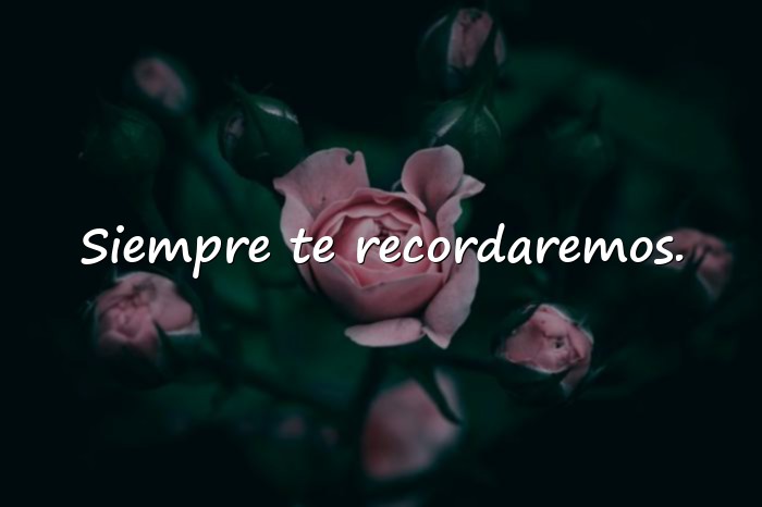 Imágenes frases de luto - 16