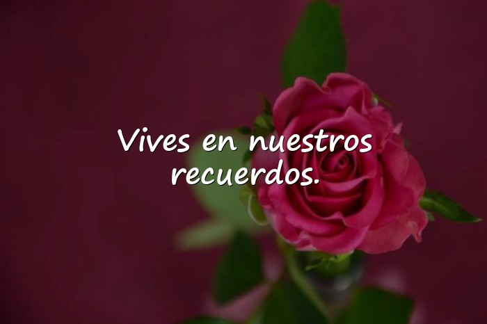 Imágenes frases de luto - 11