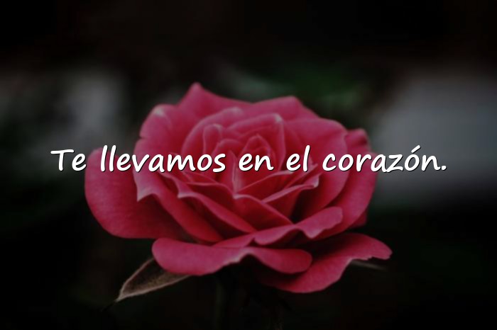 Imágenes frases de luto - 6