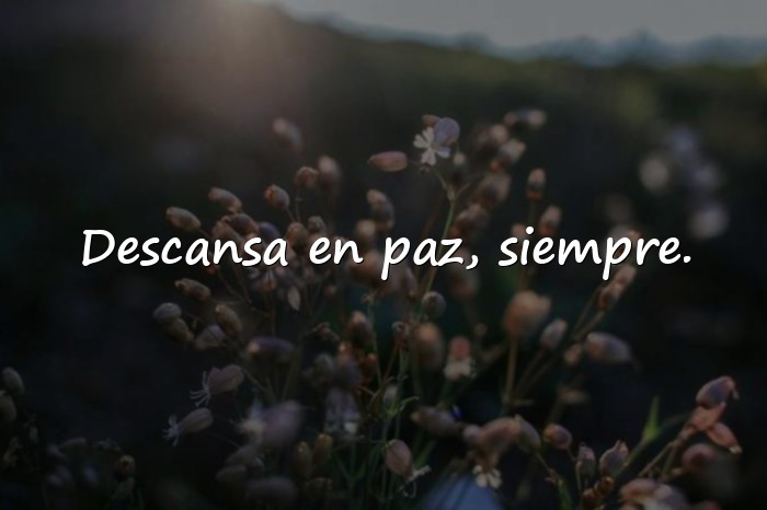 Imágenes frases de luto - 1