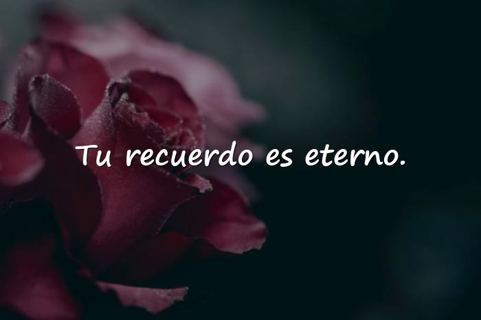 Imágenes frases de luto - 11