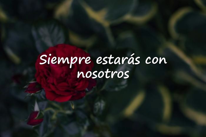Imágenes frases de luto - 1