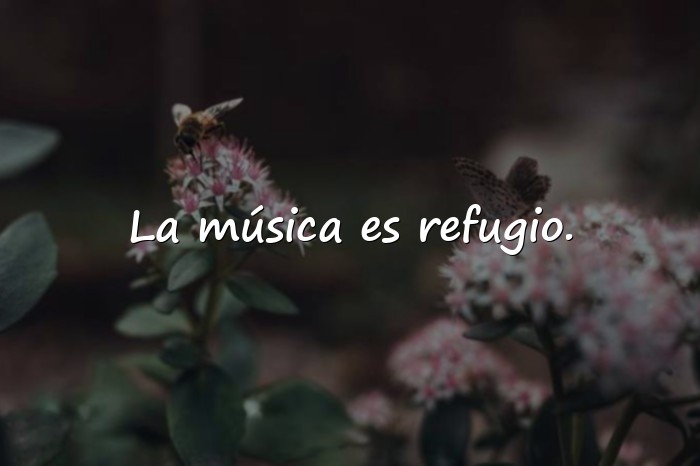 Imágenes frases de música - 11
