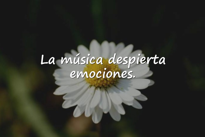Imágenes frases de música - 6