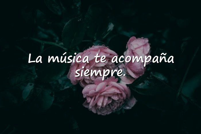 Imágenes frases de música - 1