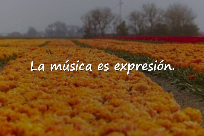 Imágenes frases de música - 6