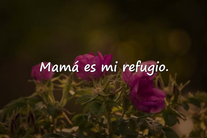 Imágenes frases de mama - 20