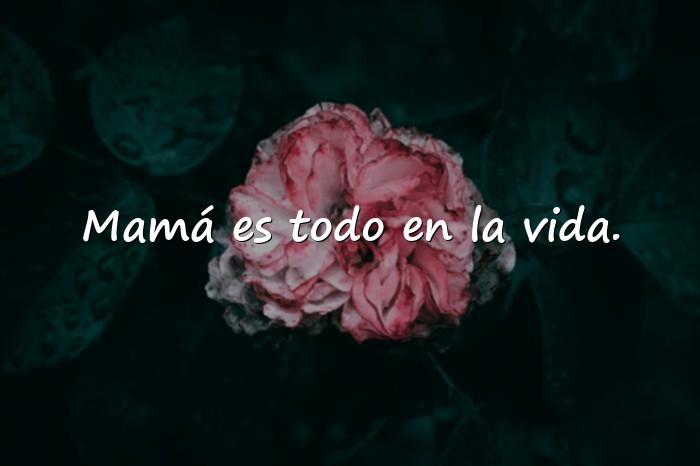 Imágenes frases de mama - 15