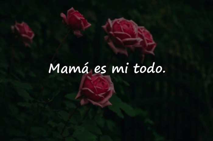Imágenes frases de mama - 10