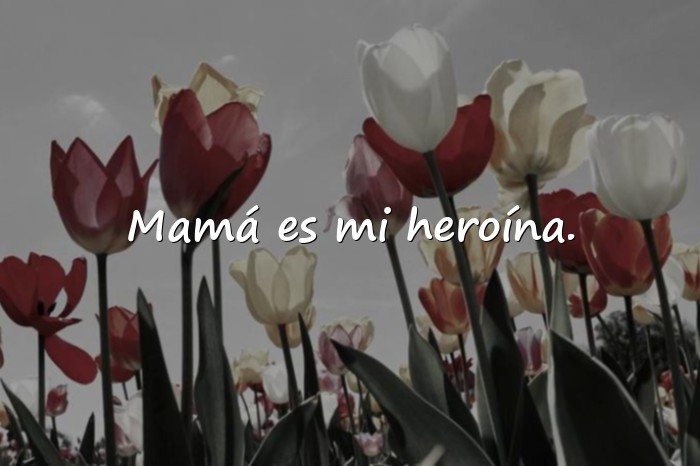 Imágenes frases de mama - 5