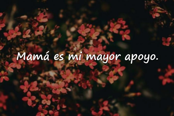 Imágenes frases de mama - 25