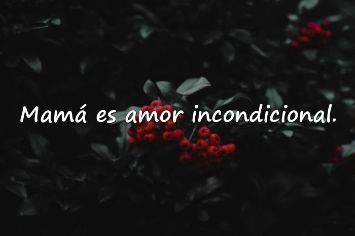 Imágenes frases de mama - 21