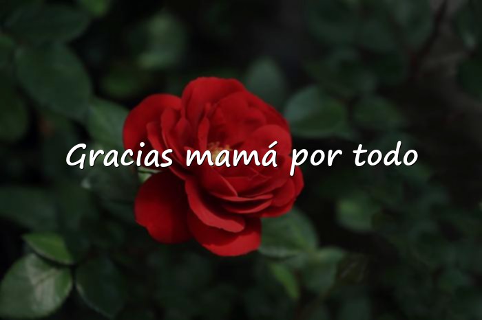 Imágenes frases de mama - 1
