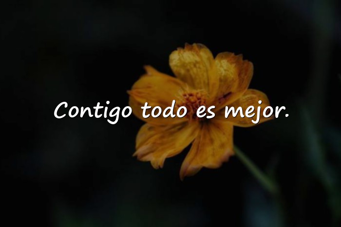 Imágenes frases de mejores amigas - 10