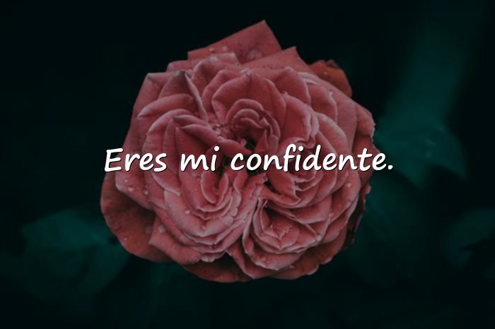 Imágenes frases de mejores amigas - 2