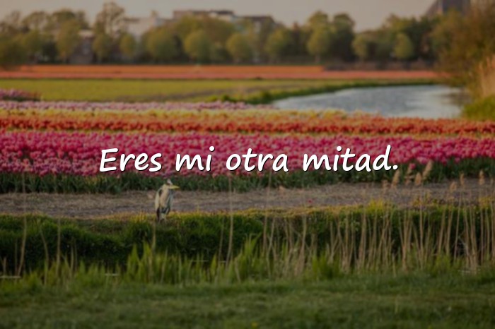 Imágenes frases de mejores amigas - 23