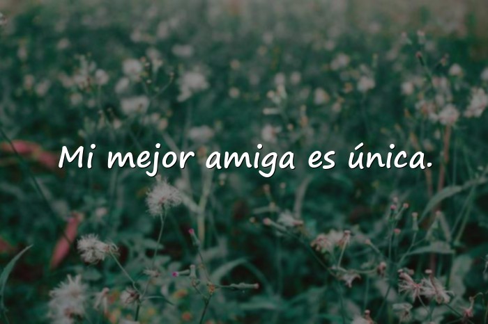 Imágenes frases de mejores amigas - 19
