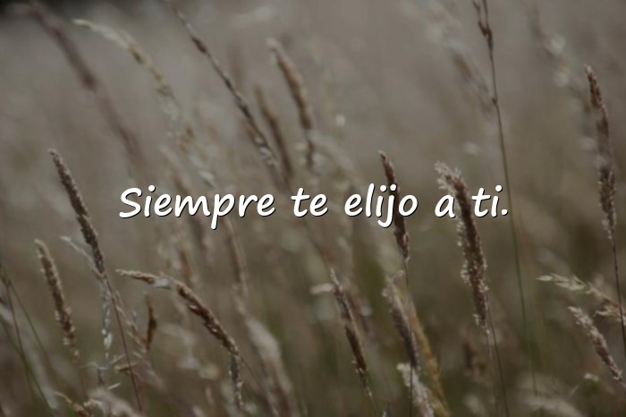 Imágenes frases de mejores amigas - 12