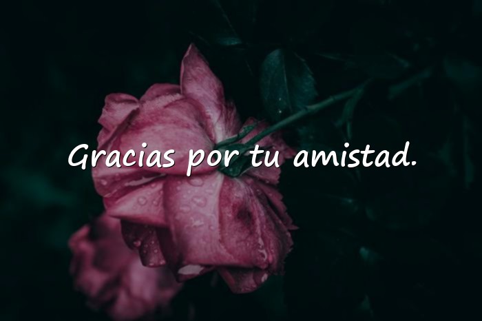 Imágenes frases de mejores amigas - 9